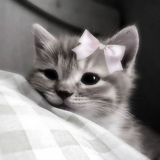 Telegram profile photo for 6:25||парные статусы