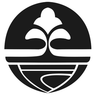 Telegram profile photo for گروه بین المللی معراج