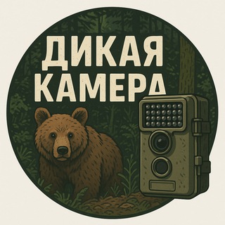 Telegram profile photo for Дикая Камера: природа, животные, птицы, видео, wildlife, nature