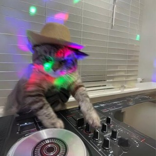 Telegram profile photo for $DJCAT | PORTAL