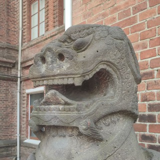 Telegram profile photo for Туда и обратно