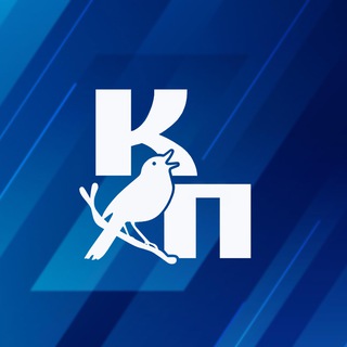 Telegram group profile photo for Чат | Курская правда