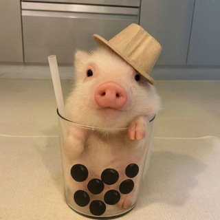 Telegram profile photo for 🧋奶茶妹🐷HG睇圖🧋