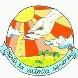 Telegram profile photo for Desobediencia Civil