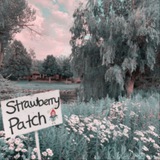 Telegram profile photo for Fairy Garden. #1stYearWithAespa