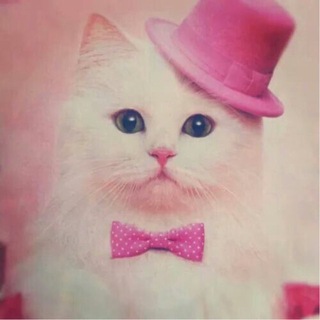 Telegram profile photo for перСОНА