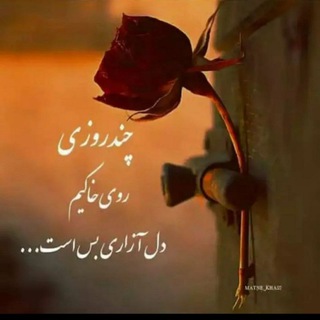 Telegram profile photo for 💥 اکنون تغییر را آغاز کنید🌟