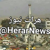 Telegram profile photo for هرات نیوز