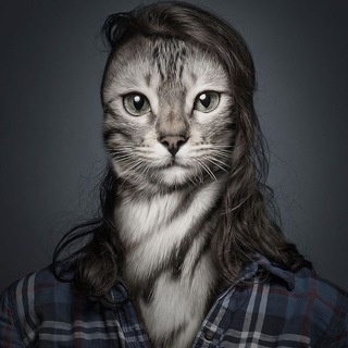 Telegram profile photo for Vouches