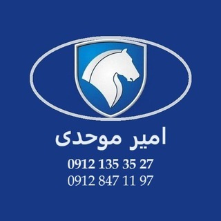 Telegram profile photo for امیر موحدی(تهران)