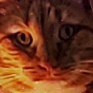Telegram profile photo for La1trex Channel