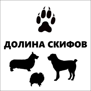 Telegram profile photo for Долина Скифов
