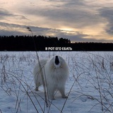 Telegram profile photo for Сегодня плохих новостей не было