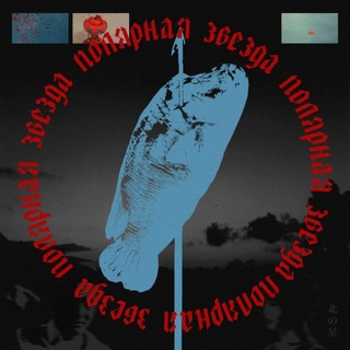 Telegram profile photo for полярная звезда