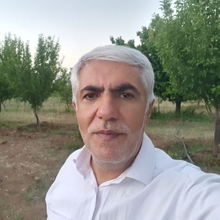 Telegram profile photo for مشاوره ازدواج و تعارضات زوجین