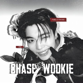 Telegram profile photo for (FREE UNSUBS) Chase the Wookie!