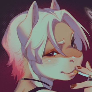 Telegram profile photo for zh4