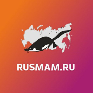 Telegram profile photo for Млекопитающие России