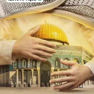 Telegram profile photo for Kapsul Baitul Maqdis