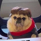 Telegram profile photo for Карательная кулинария