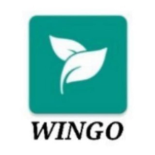 Telegram profile photo for winapp Official plan