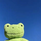 Telegram profile photo for TobyCTO