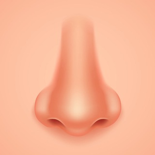 Telegram profile photo for НОЗЬ