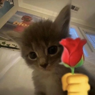 Telegram profile photo for движ