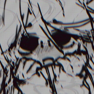 Telegram profile photo for twitch: bebechkane💿