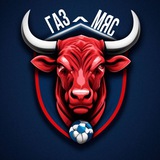 Telegram profile photo for ГАЗ-МЯС