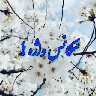 Telegram profile photo for سکانس واژه ها