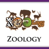 Telegram profile photo for SG Zoology