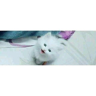 Telegram profile photo for إسراء عاطف.