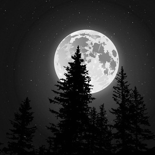 Telegram profile photo for MOON | معنی تتو