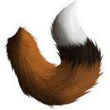 Telegram profile photo for Пушистые хвосты
