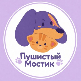 Telegram profile photo for Пушистый Мостик • Платформа помощи животным