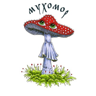 Telegram profile photo for MUHOMOR.RED