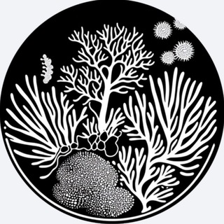 Telegram profile photo for VReef bacteria🦠🪸