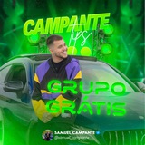 Telegram profile photo for 🎯 CAMPANTE TIPS 🎯