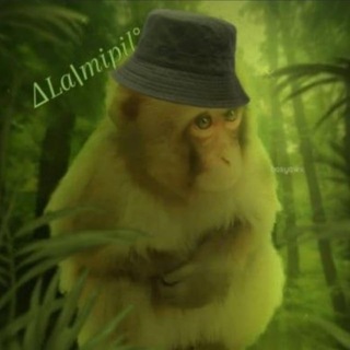 Telegram profile photo for ∆La|mipil°