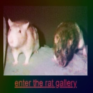 Telegram profile photo for РисуНки Заваркчalert 🍒