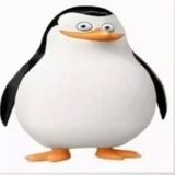 Telegram profile photo for Цᥲρᥴᴛʙ᧐ Рᥲ᥊᧐