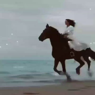 Telegram profile photo for یواشکی دوست دارم🤍🦋