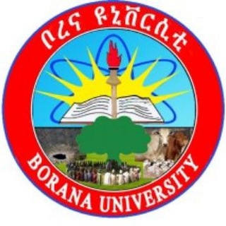 Telegram profile photo for Borana University Official