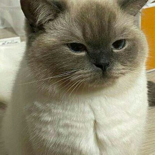 Telegram profile photo for luveniè