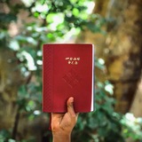 Telegram profile photo for IN christ