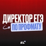 Telegram profile photo for Директор ЕГЭ по профилю