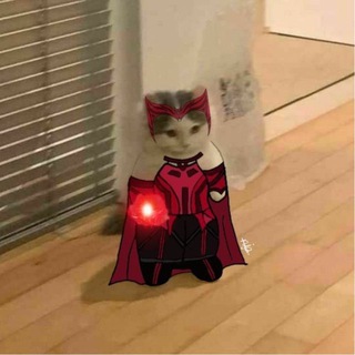 Telegram profile photo for THE SCARLET WITCH CHANNEL