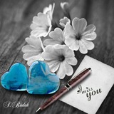 Telegram profile photo for بَقَـايَـا قَلَـمٍ..✎🦋🥀•