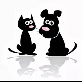 Telegram profile photo for Потерялся-Найден_Уссурийск